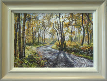 Load image into Gallery viewer,  13 x 19 inch Pastel painting of the woodland above High Wray farm, with a stony path leading through, with bright Autumn coloured trees,many Silver Birches. The sun is glinting through trees in the mid right foreground. Shows the frame with an off-white inner edge, gradating through bige to a greyish outer edge.
