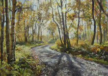 Load image into Gallery viewer,  13 x 19 inch Pastel painting of the woodland above High Wray farm, with a stony path leading through, with bright Autumn coloured trees,many Silver Birches. The sun is glinting through trees in the mid right foreground.
