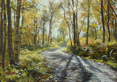 11.5 x 16.5 inch oil painting of a path in Wray Forest, with the sun piercing through trees on the right of centre, with some birch trees on the left foreground.