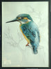 Medium: Pen and Ink and Watercolour painting of a Kingfisher in colour, on a monochrome background. The bird is sitting on a tree trunk. The image shows the simple, charcoal-coloured box frame.