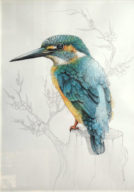 Medium: Pen and Ink and Watercolour painting of a Kingfisher in colour, on a monochrome background. The bird is sitting on a tree trunk.