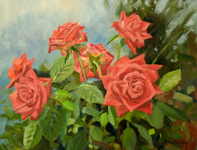 9 x 12 inch oil of orange roses, growing wild with foliage and 6 blooms against a misty backdrop