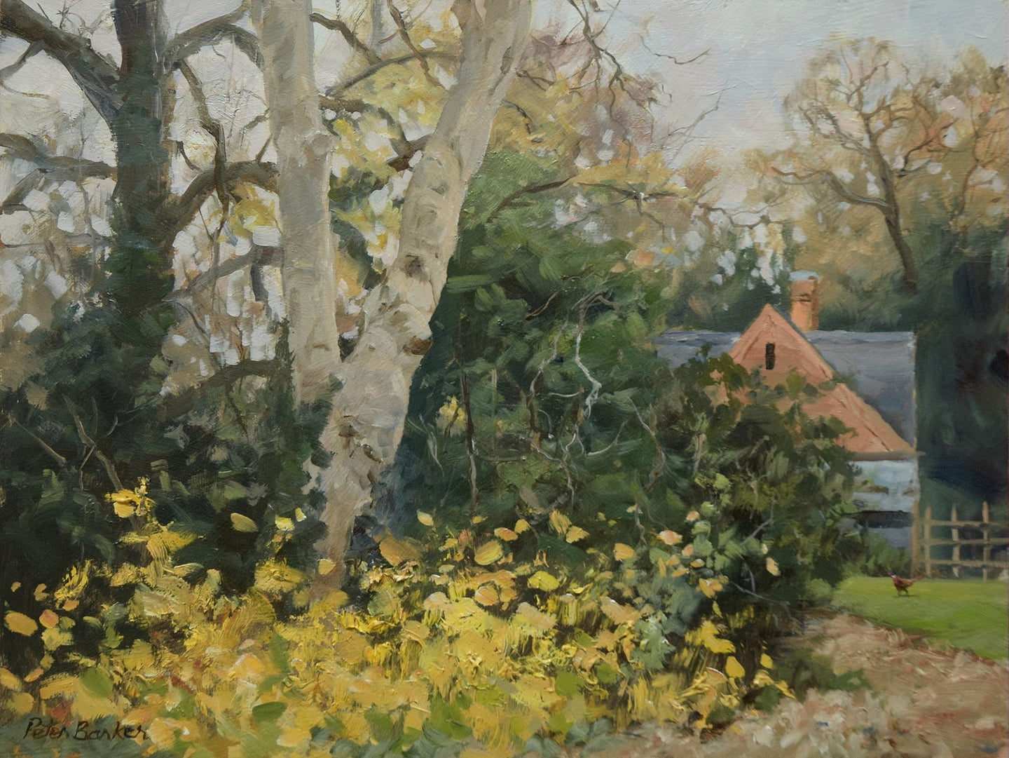 9 x 12 inch oil painting depicting lowering light, with a brick cottage in the right background, with a light-coloured tree left of centre, a bank of dark bushy shrubs and ivy and bright yellow foliage in the foreground, and a Pheasant on the grass right mid-ground.