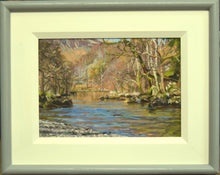 Load image into Gallery viewer, River Derwent, Borrowdale, by Peter Barker
