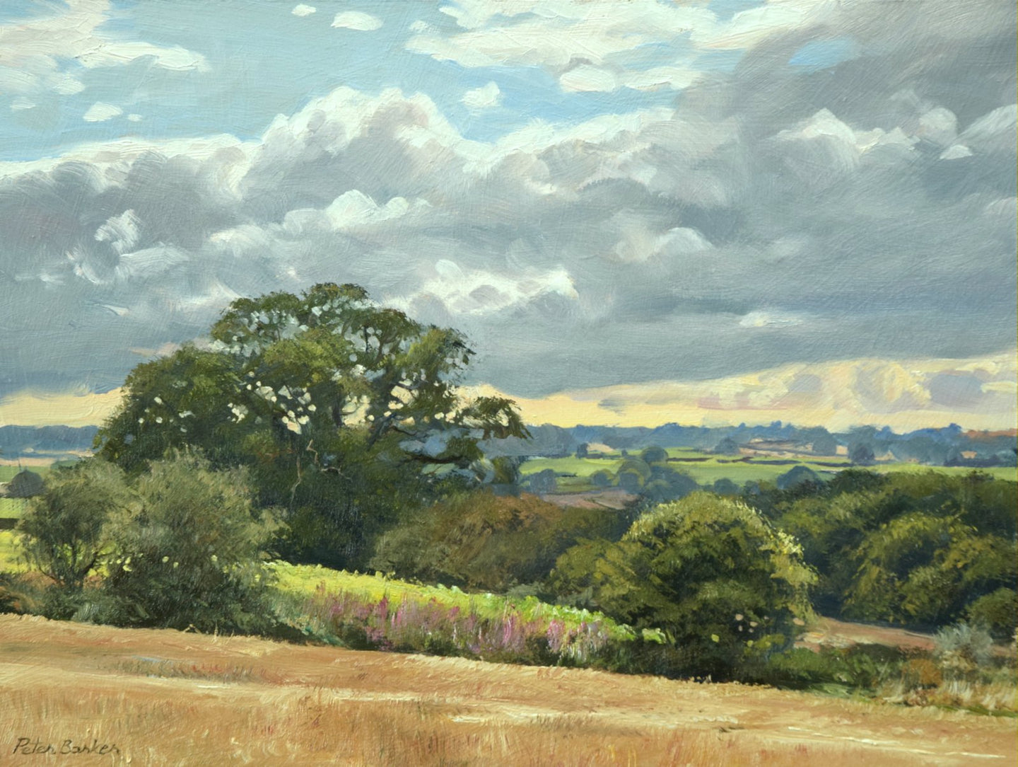 Rosebay Willowherb From Wing Road, by Peter Barker