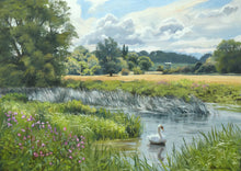 Load image into Gallery viewer, Swan on the Nene Millstream at Castor, by Peter Barker RSMA
